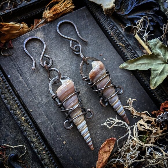 Spire Sea Shell 10g Ear Weights - Picture 1 of 4